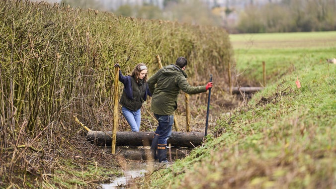 A young woman and man installing natural dams along a stream